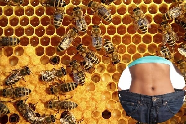 uống mật ong với gừng có giảm cân không, mật ong gừng giảm cân, Uống gừng với mật ong có giảm cân không, Giảm mỡ bụng bằng gừng và mật ong, Giảm cân bằng gừng trong 1 tuần, Kinh nghiệm giảm cân bằng gừng, Cách giảm mỡ bụng bằng gừng, Cách uống mật ong giảm cân, Tại sao uống mật ong lại giảm cân, Cách giảm cân bằng mật ong và nước ấm